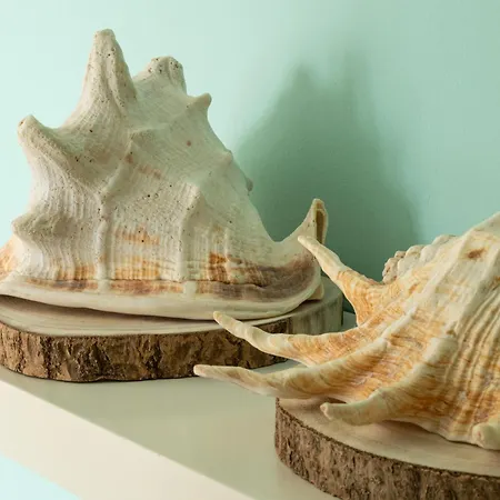 아파트 Pe Na Da Foz *