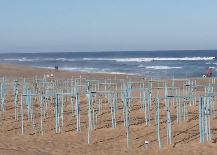 Pé Na Da Foz Appartement